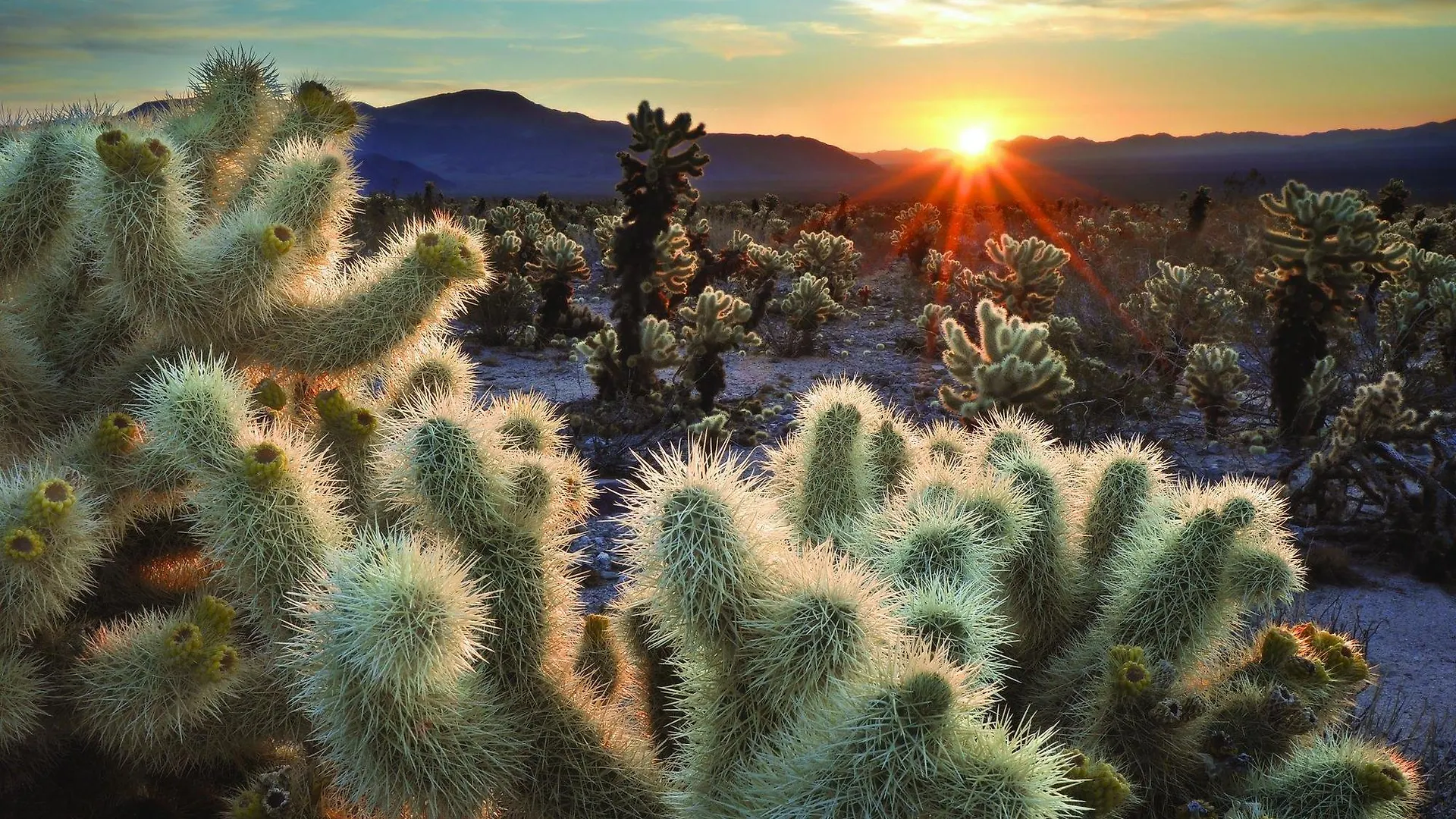 Worldmark Palm Springs - Plaza Resort And Spa